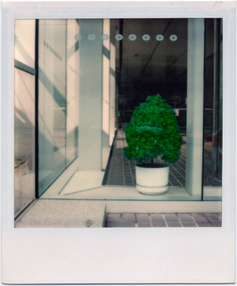 Planter, CitiCorp Building